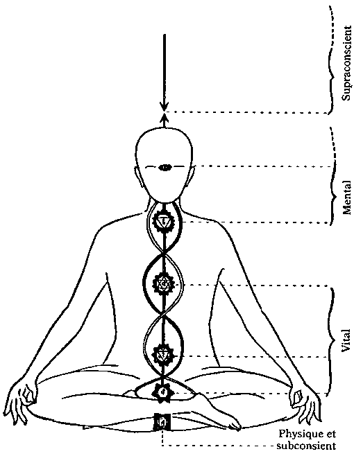 Satprem. Sri Aurobindo, or The Adventure of Consciousness